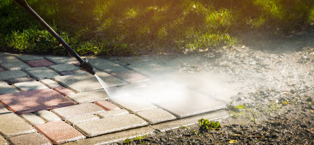 Best Animal Enclosure Cleaning  in Marinette, WI